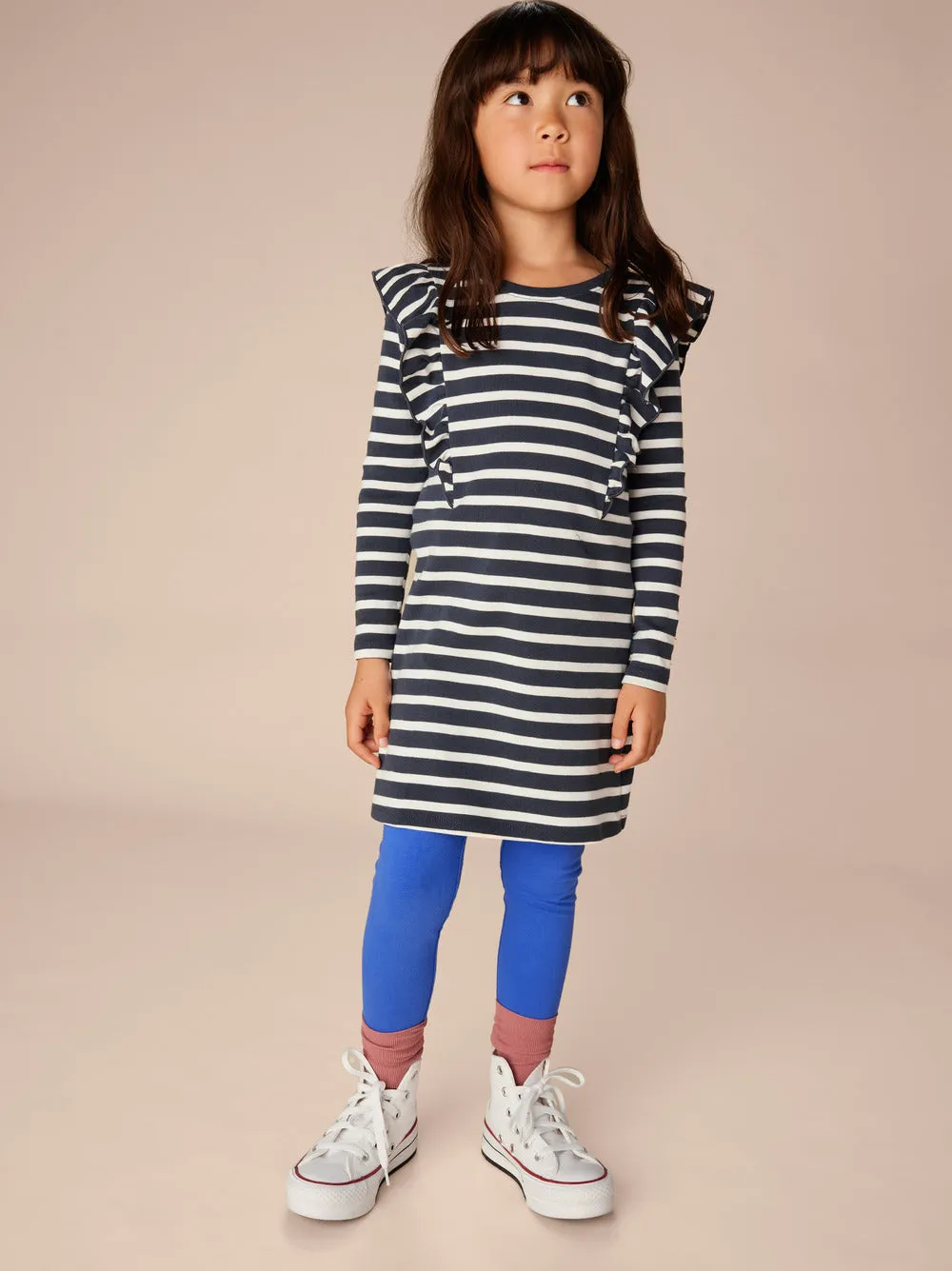 Indigo Stripe Ruffle A line dress